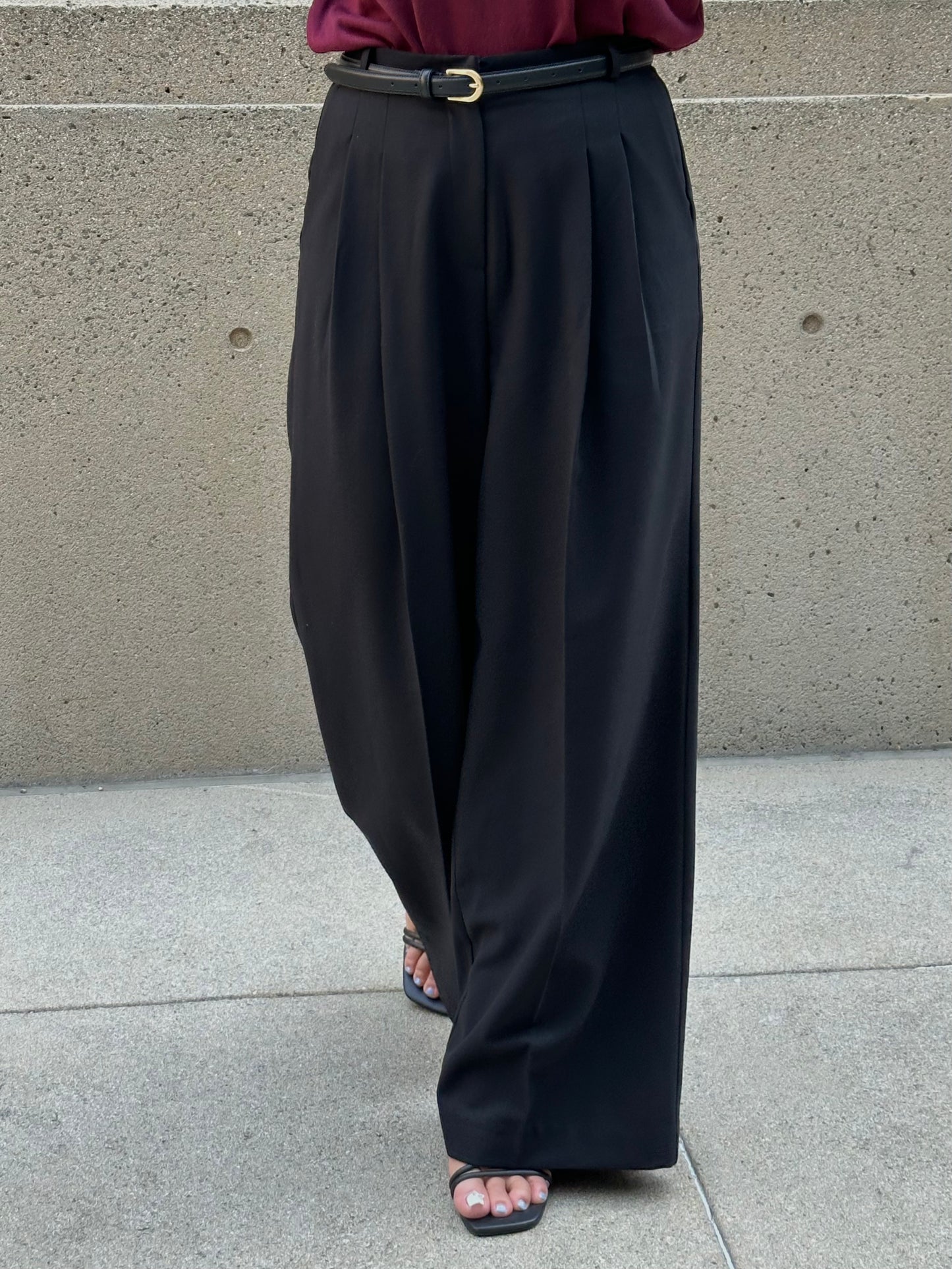 Classic Pin-Tuck Wide Trousers