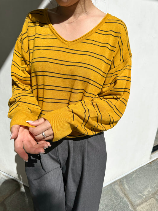 Striped V-Neck Knit Sweater